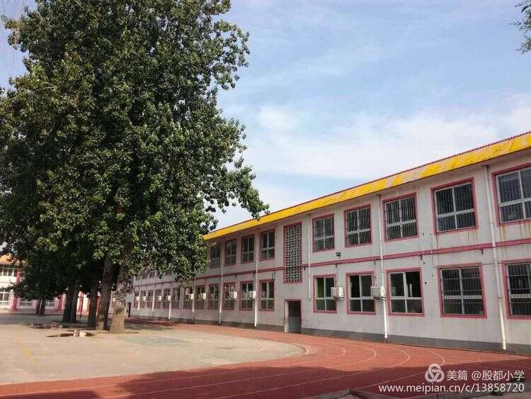 安阳殷都小学加盟华视搜星《星梦工厂》影视艺术人才孵化基地