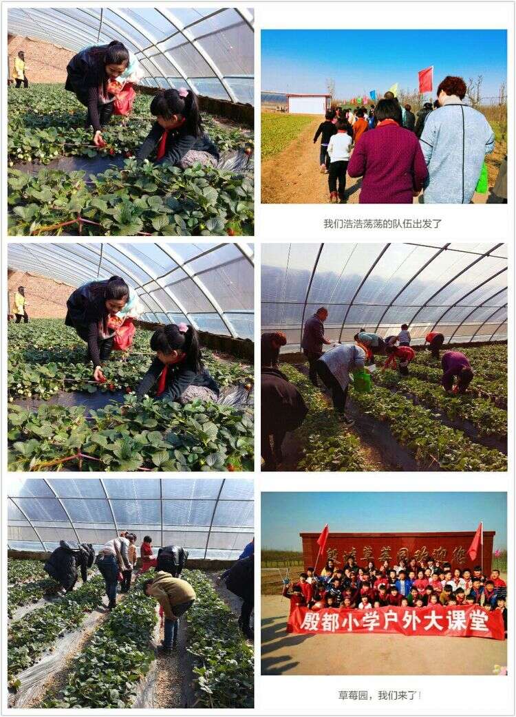 安阳殷都小学加盟华视搜星《星梦工厂》影视艺术人才孵化基地