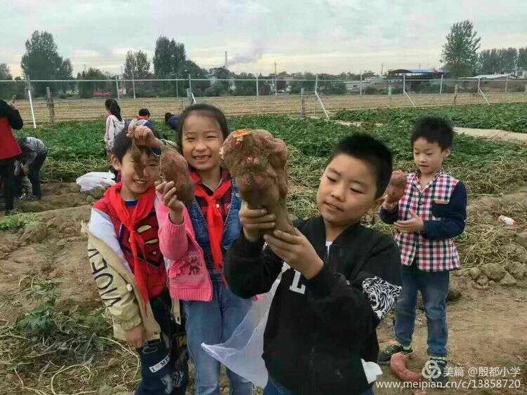 安阳殷都小学加盟华视搜星《星梦工厂》影视艺术人才孵化基地