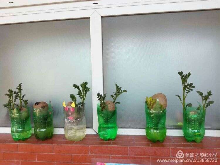 安阳殷都小学加盟华视搜星《星梦工厂》影视艺术人才孵化基地