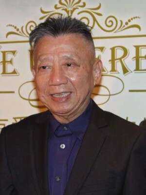 左宏元