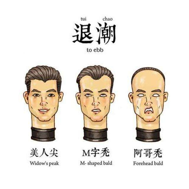 男人发际线后移等于整容!何炅没刘海直接50岁,胡歌也难逃考验
