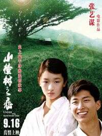 奚美娟