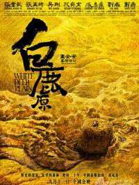 张雨绮