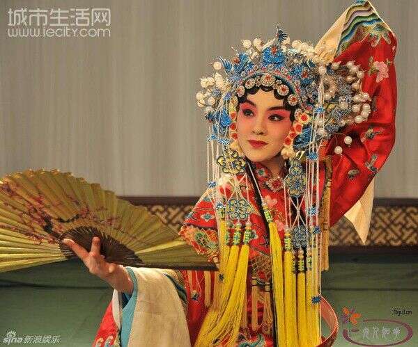 王晓晨