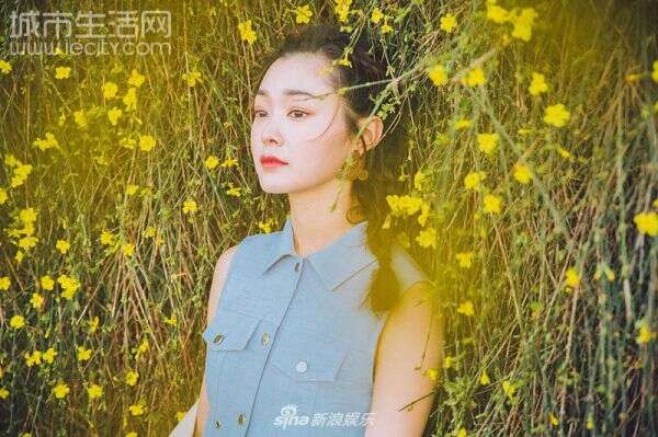 宋轶