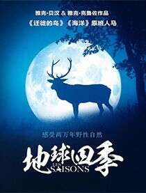 黄晓明