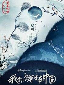周迅