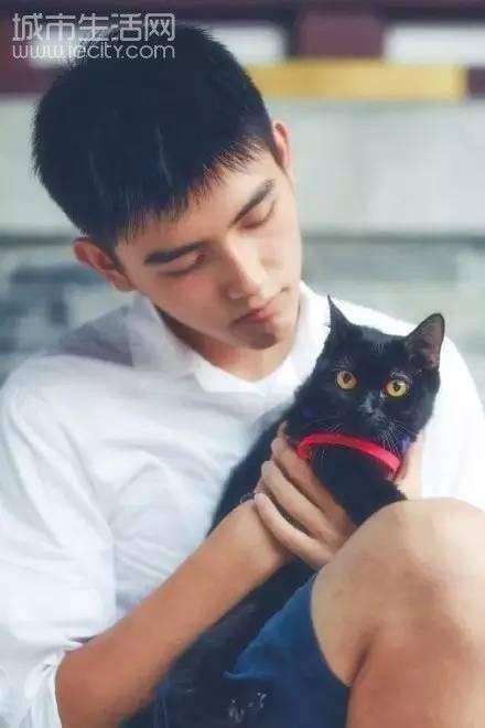 陈飞宇