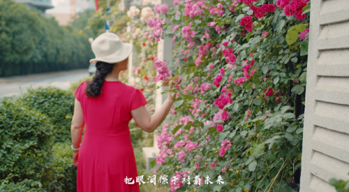 超燃! 咸阳生活垃圾分类主题城市营销音乐正式发布