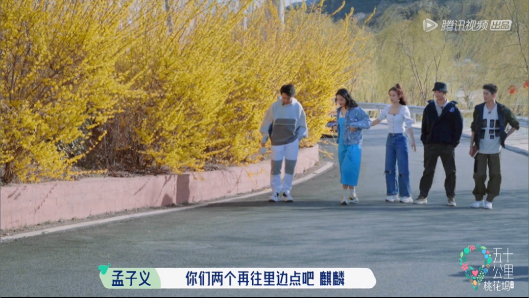 五十公里桃花坞,全网恶评,这节目尬得我头皮发麻
