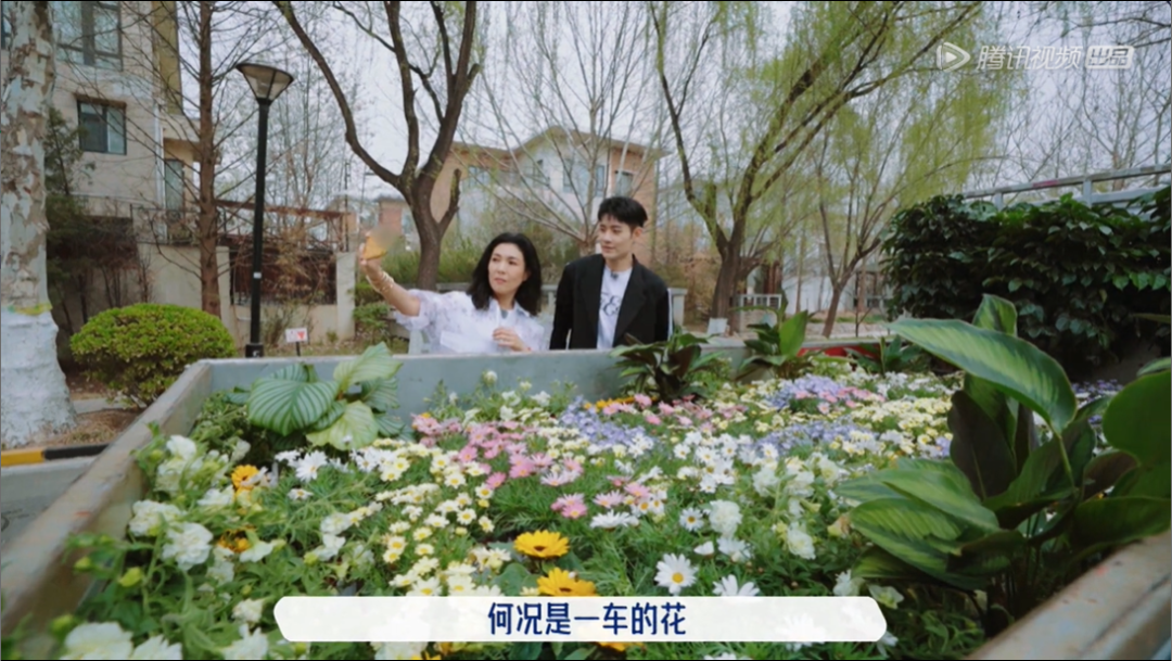 五十公里桃花坞,全网恶评,这节目尬得我头皮发麻