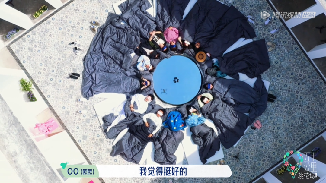 五十公里桃花坞,全网恶评,这节目尬得我头皮发麻
