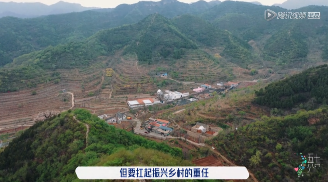 五十公里桃花坞,全网恶评,这节目尬得我头皮发麻