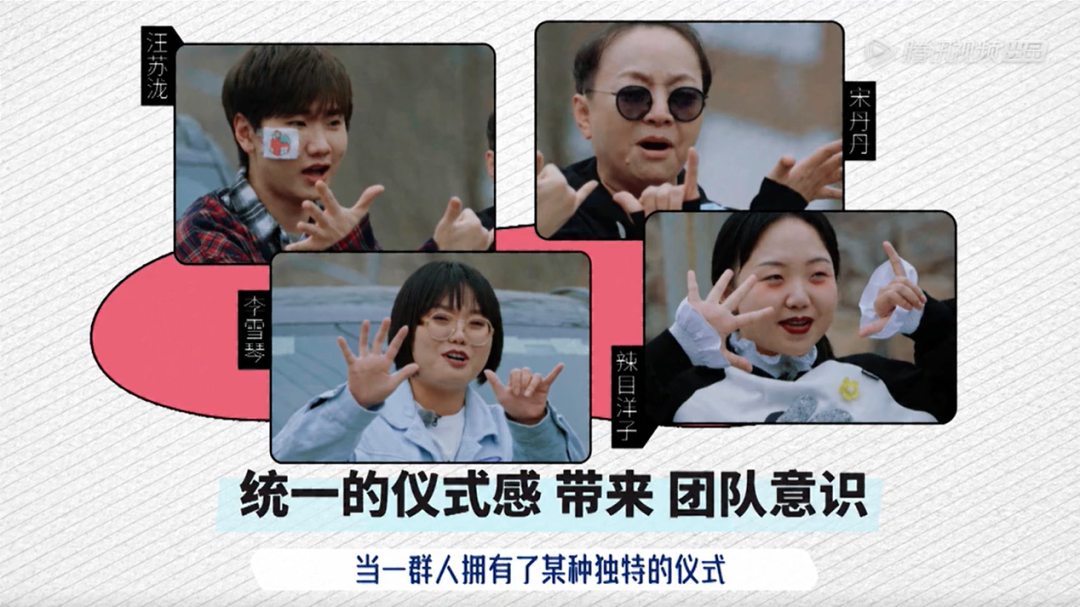 五十公里桃花坞,全网恶评,这节目尬得我头皮发麻