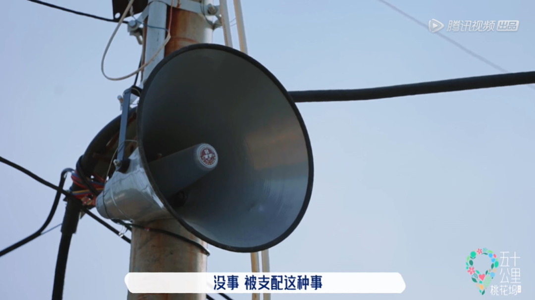五十公里桃花坞,全网恶评,这节目尬得我头皮发麻