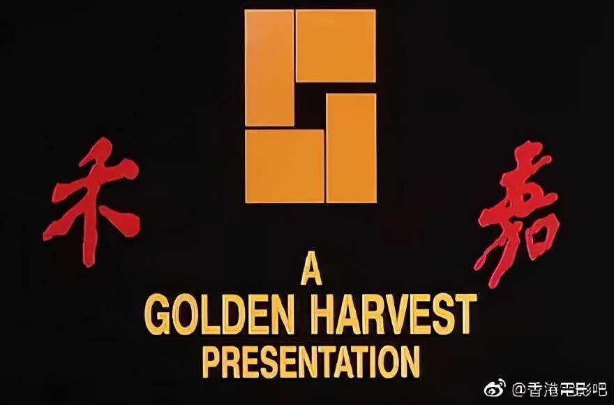钱小豪“毁灭史”,他的故事比你想得更恶劣
