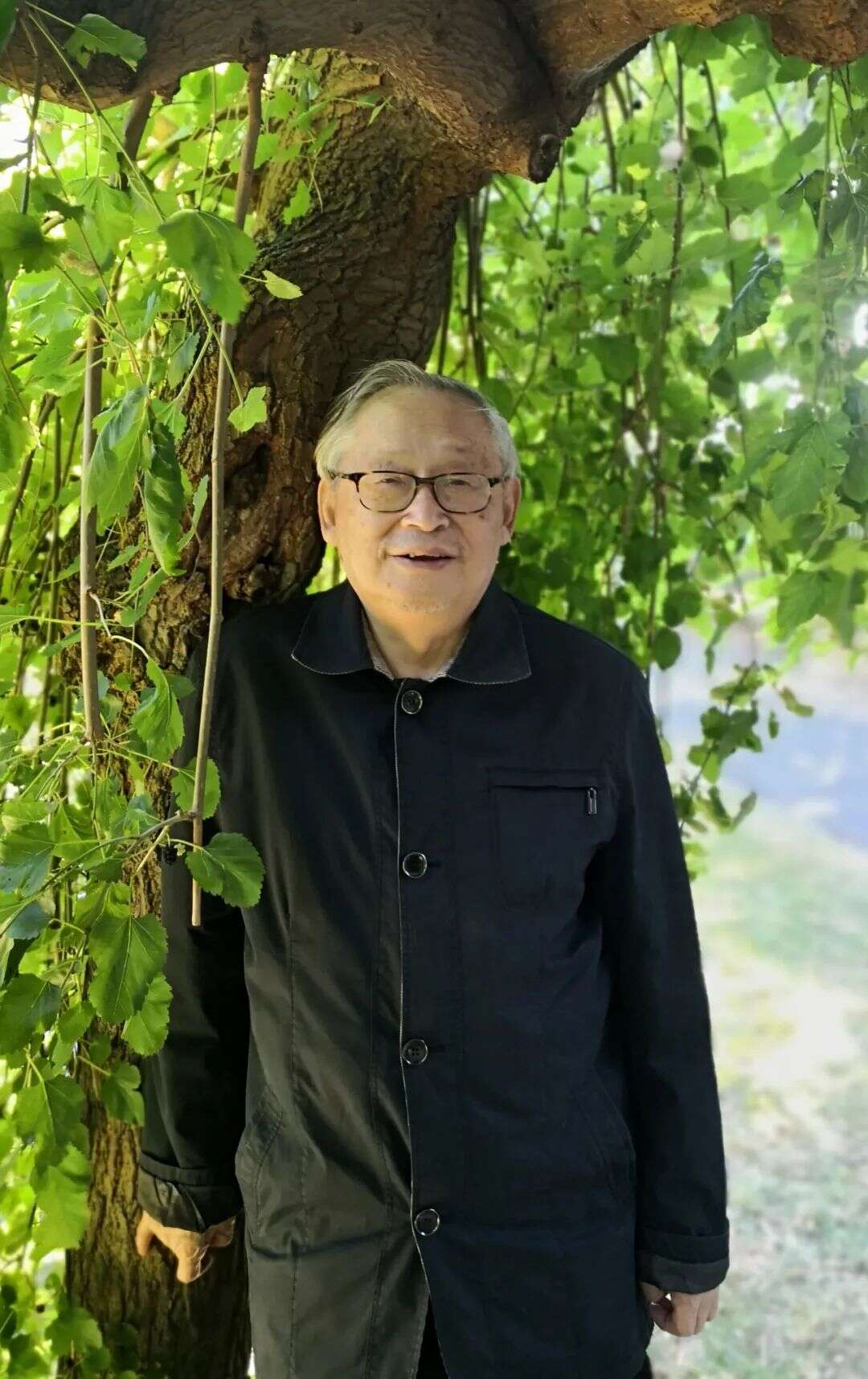 沈大力:“翻译即背叛”?中国文学作品如何突破东西传播樊篱?