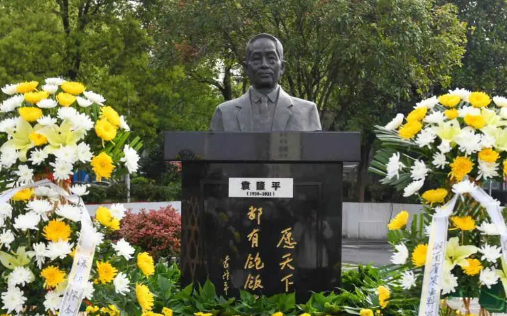 袁隆平铜像长沙揭幕 面向实验田永远守望