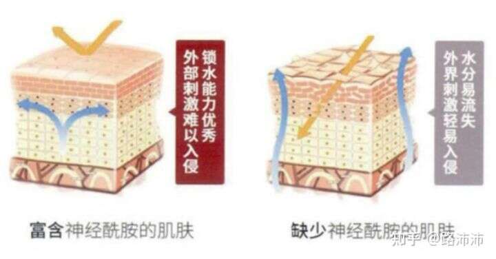如何修复敏感肌?怎么变回正常皮肤?