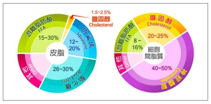 要想改善敏感肌,首先要了解敏感肌是怎么形成的?
