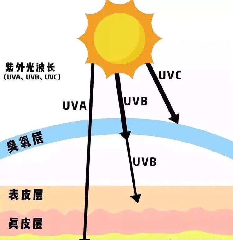 什么是紫外线?夏天防晒小知识