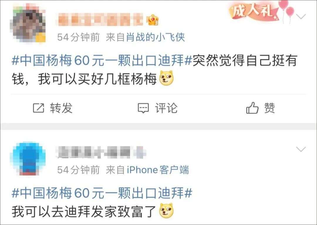 中国杨梅60元一颗出口迪拜?很多网友开始“炫富”