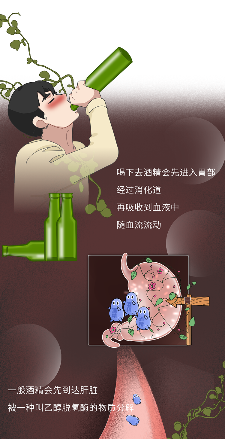 吃什么能快速解酒?蜂蜜、浓茶都没用!真正有效的方法是这2个