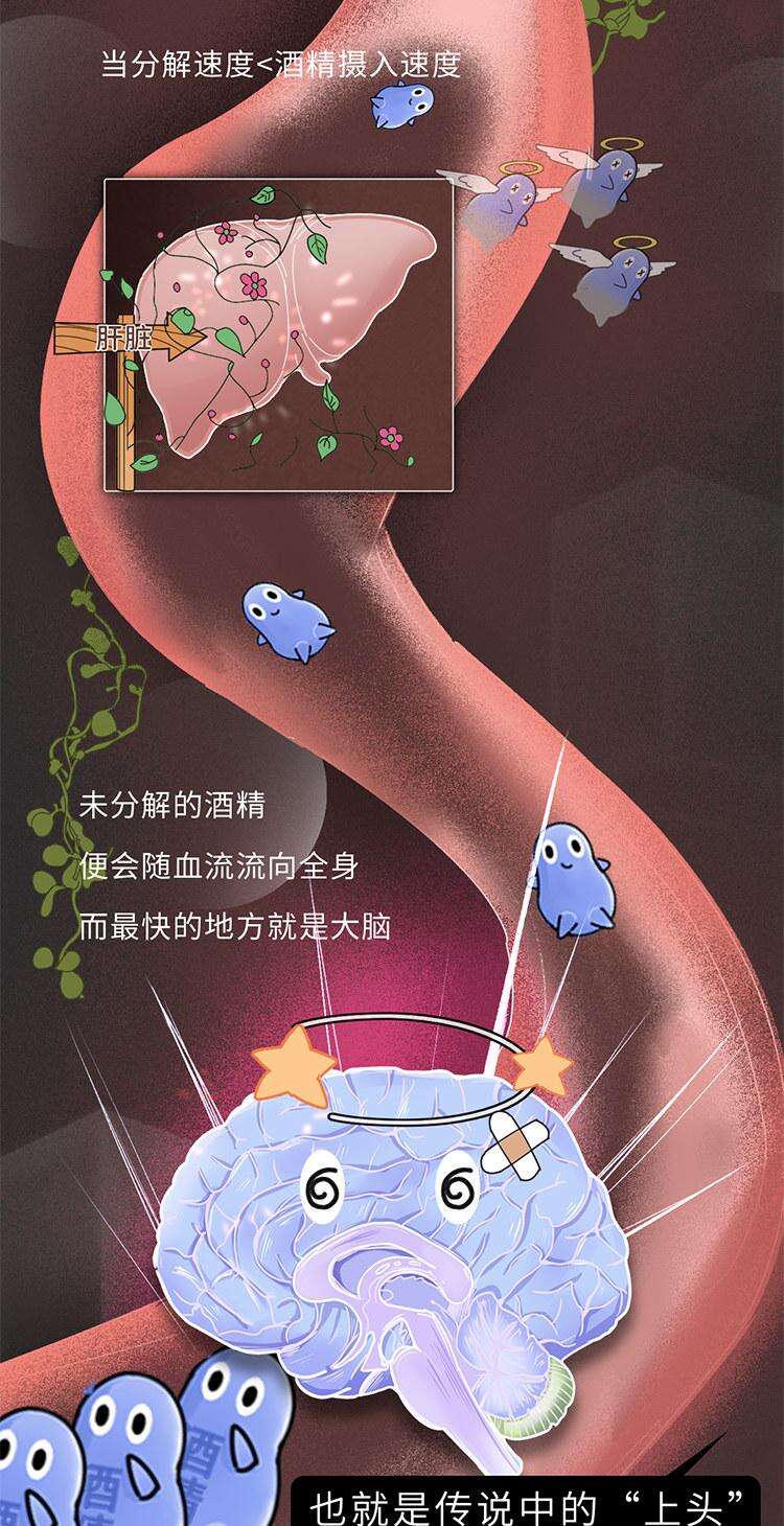 吃什么能快速解酒?蜂蜜、浓茶都没用!真正有效的方法是这2个