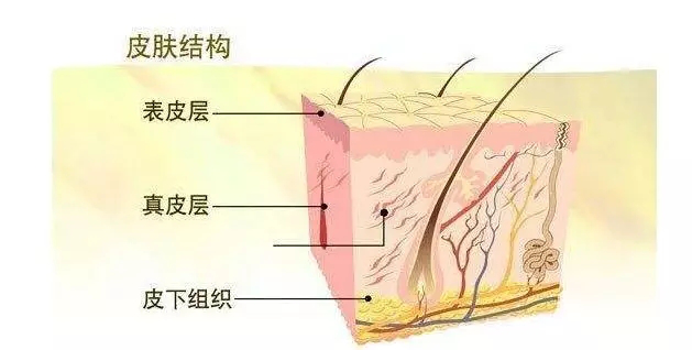 护肤心得-皮肤为什么要补水?皮肤出现这些肌肤问题,再不补水会变丑!