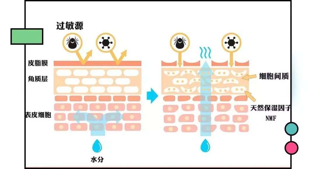 皮肤八大现象(四)丨解决皮肤暗淡无光你只需这样做!