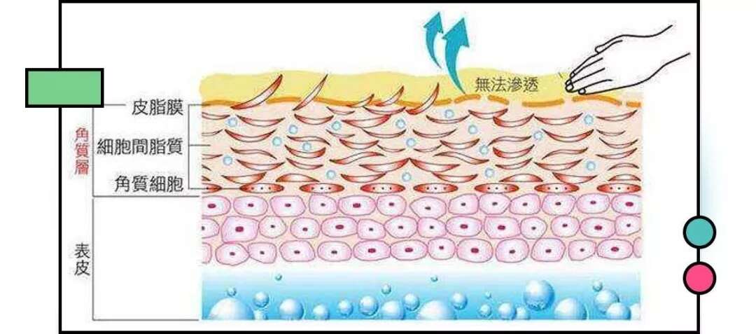 皮肤八大现象(四)丨解决皮肤暗淡无光你只需这样做!