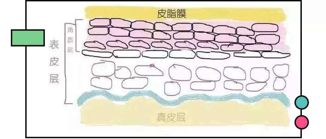 皮肤八大现象(四)丨解决皮肤暗淡无光你只需这样做!