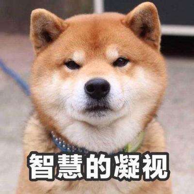 怎么祛痘?认清痘痘形成原因,别再信想祛痘先除螨的鬼话!
