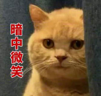 洁面你了解多少?认识洁面误区,氨基酸与皂基洁面区别及使用方法
