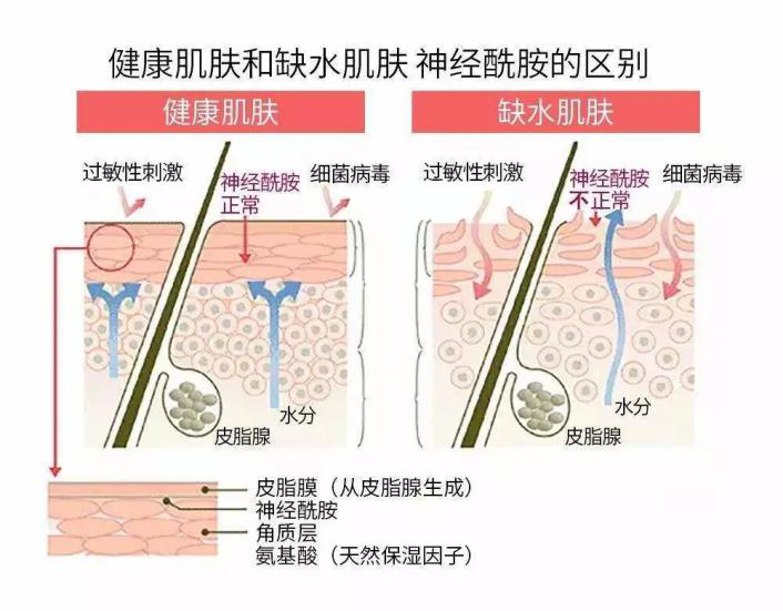 换季时候,皮肤过敏要怎么护肤?