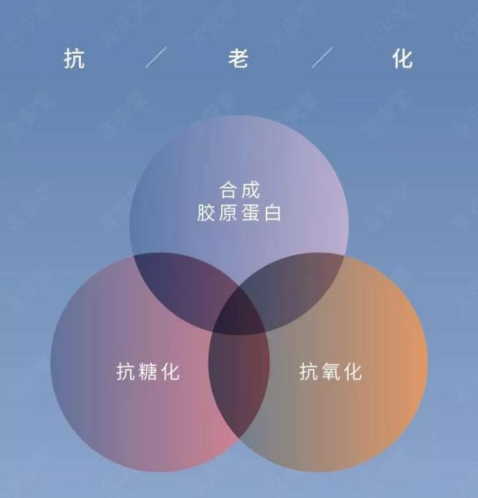 抗糖化or抗氧化,衰老的真正元凶究竟是谁?