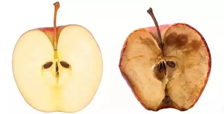 抗糖化or抗氧化,衰老的真正元凶究竟是谁?