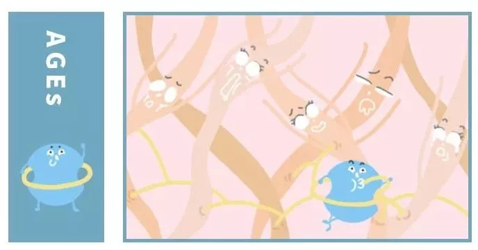 抗糖化or抗氧化,衰老的真正元凶究竟是谁?