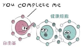 抗糖化or抗氧化,衰老的真正元凶究竟是谁?