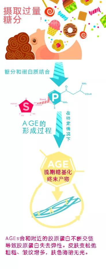 抗糖化or抗氧化,衰老的真正元凶究竟是谁?