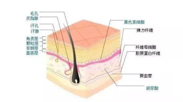 秋天皮肤干疯狂补水还是干,难怪!90%的人都在犯这个错误