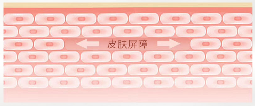 皮肤屏障到底是什么?该如何修护皮肤屏障?