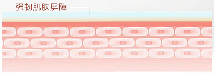 皮肤屏障到底是什么?该如何修护皮肤屏障?