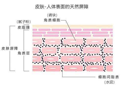 敏感肌是怎么造成的?注意这些行为,避免造成敏感肌