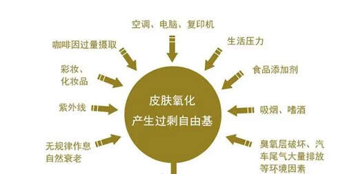 皮肤衰老的原因,认清这3大根源选择正确护肤技巧
