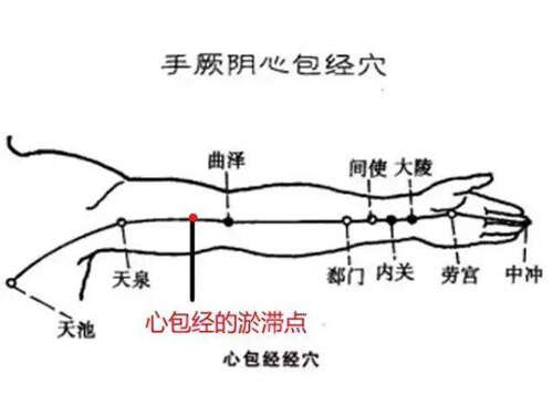 什么是经络美容?认识不同经络的美容养颜功效