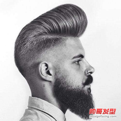 成熟男士庞毕度发型适合哪些人