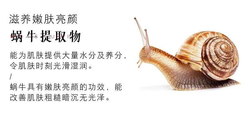 蜗牛精华修护面膜
