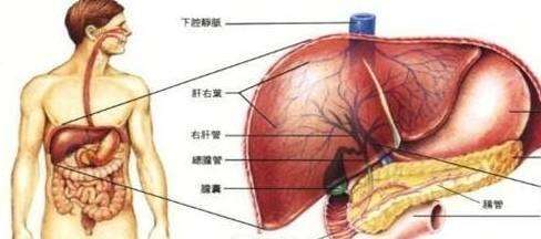 80%肝癌发现的时候就是晚期,5种人最易患上,你是不是其中一种?